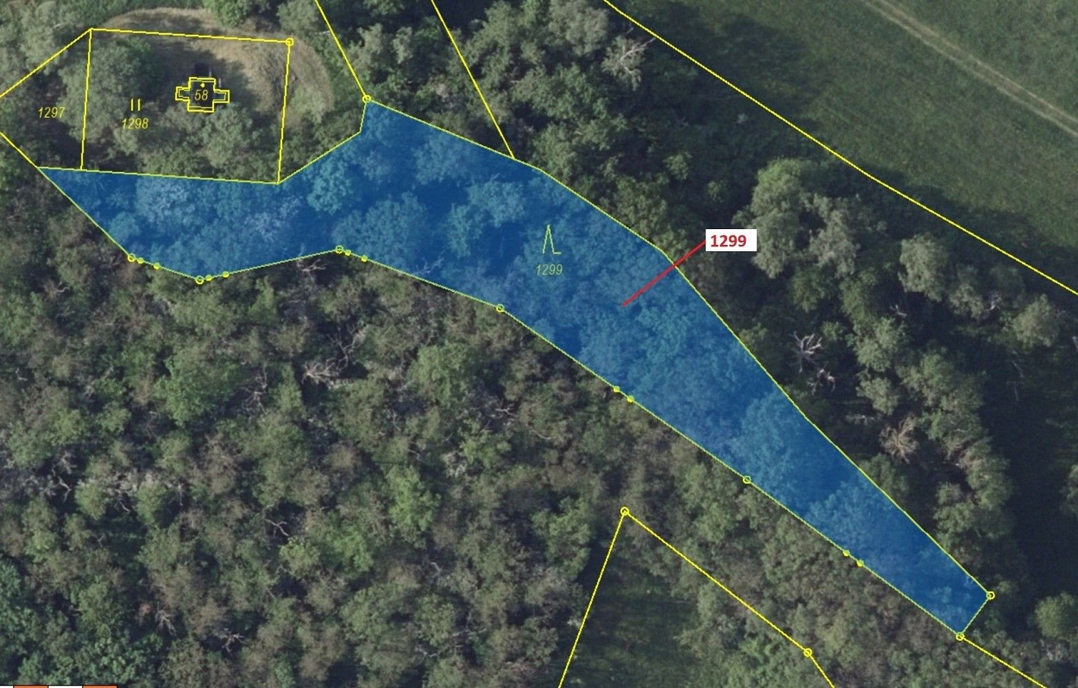 Lesy, Stebno, okres Ústí nad Labem, Ústecký kraj - 2