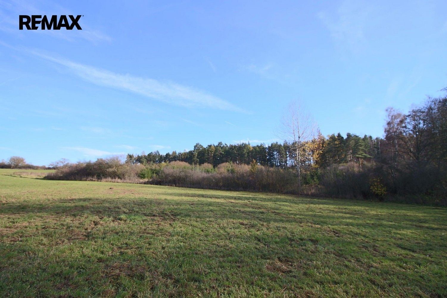Les · Břežany, okres Klatovy, Plzeňský kraj - 3