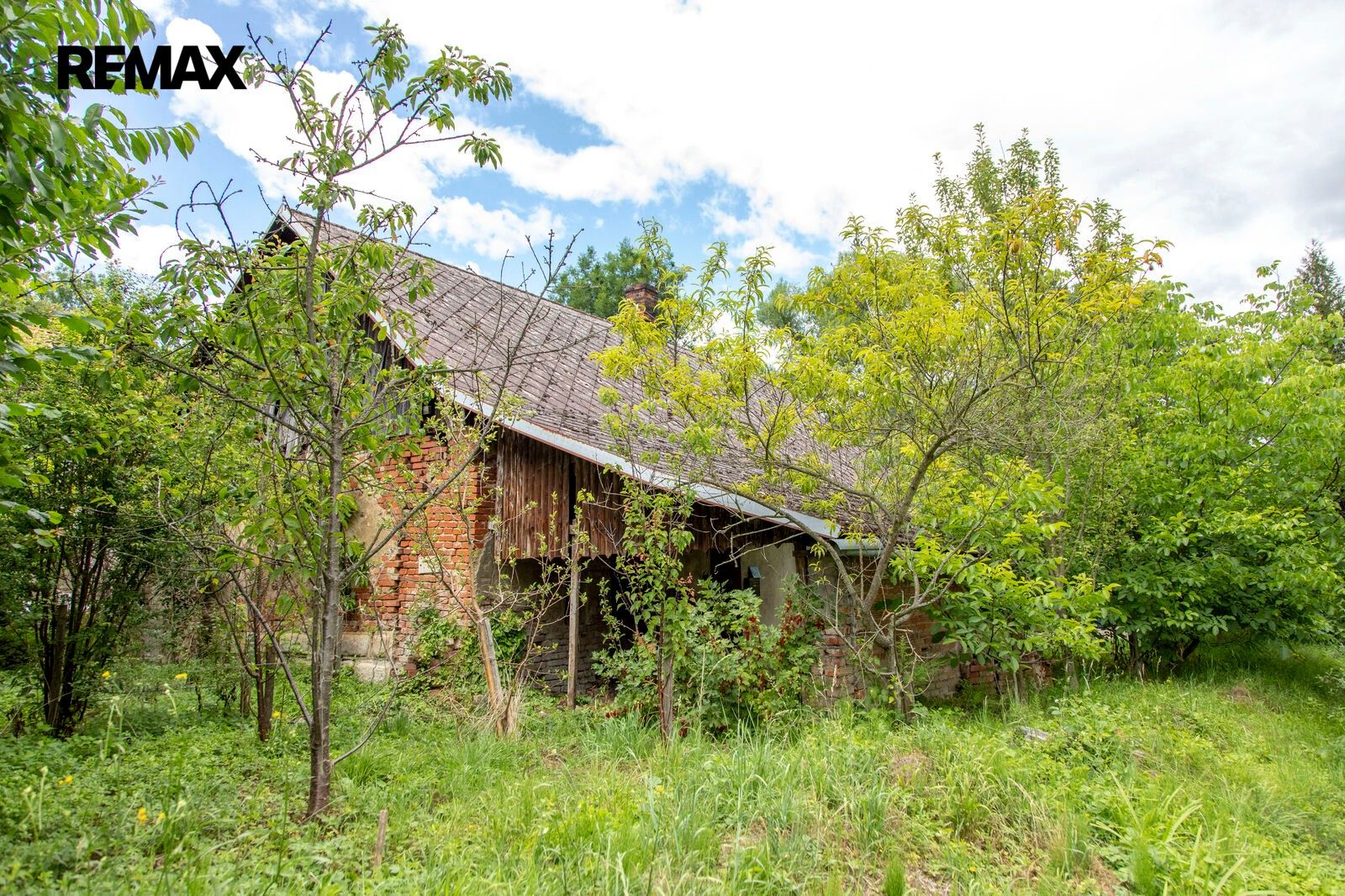 Prodej pozemek pro bydlení - Branky, 473 m² - 5