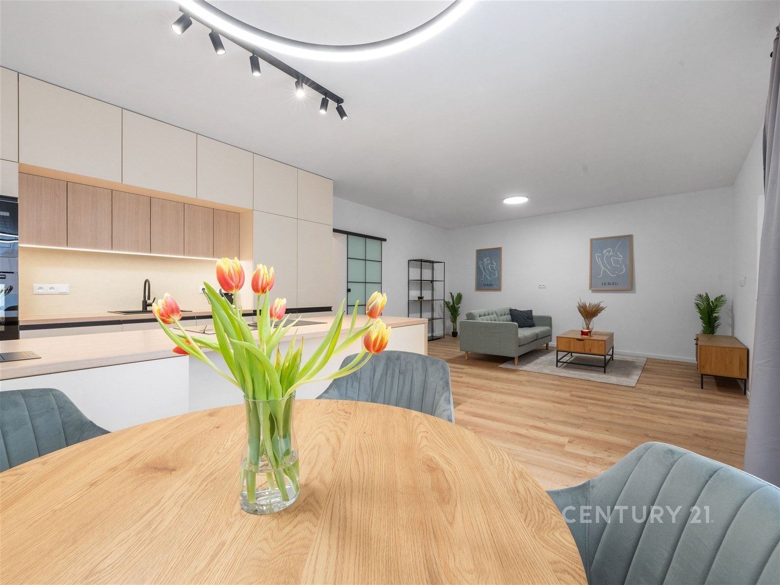 Rodinné domy, Vlasatice, 135 m²