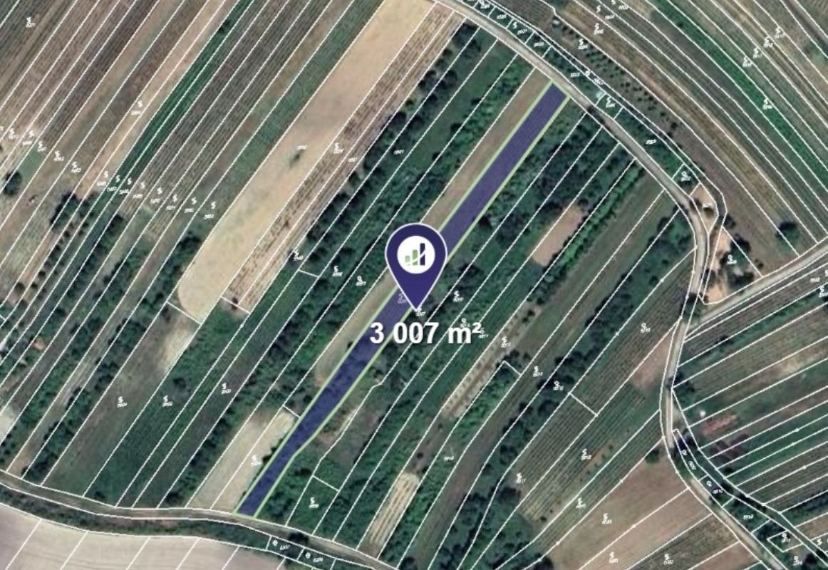 Ostatní, Velké Pavlovice, 3 007 m²