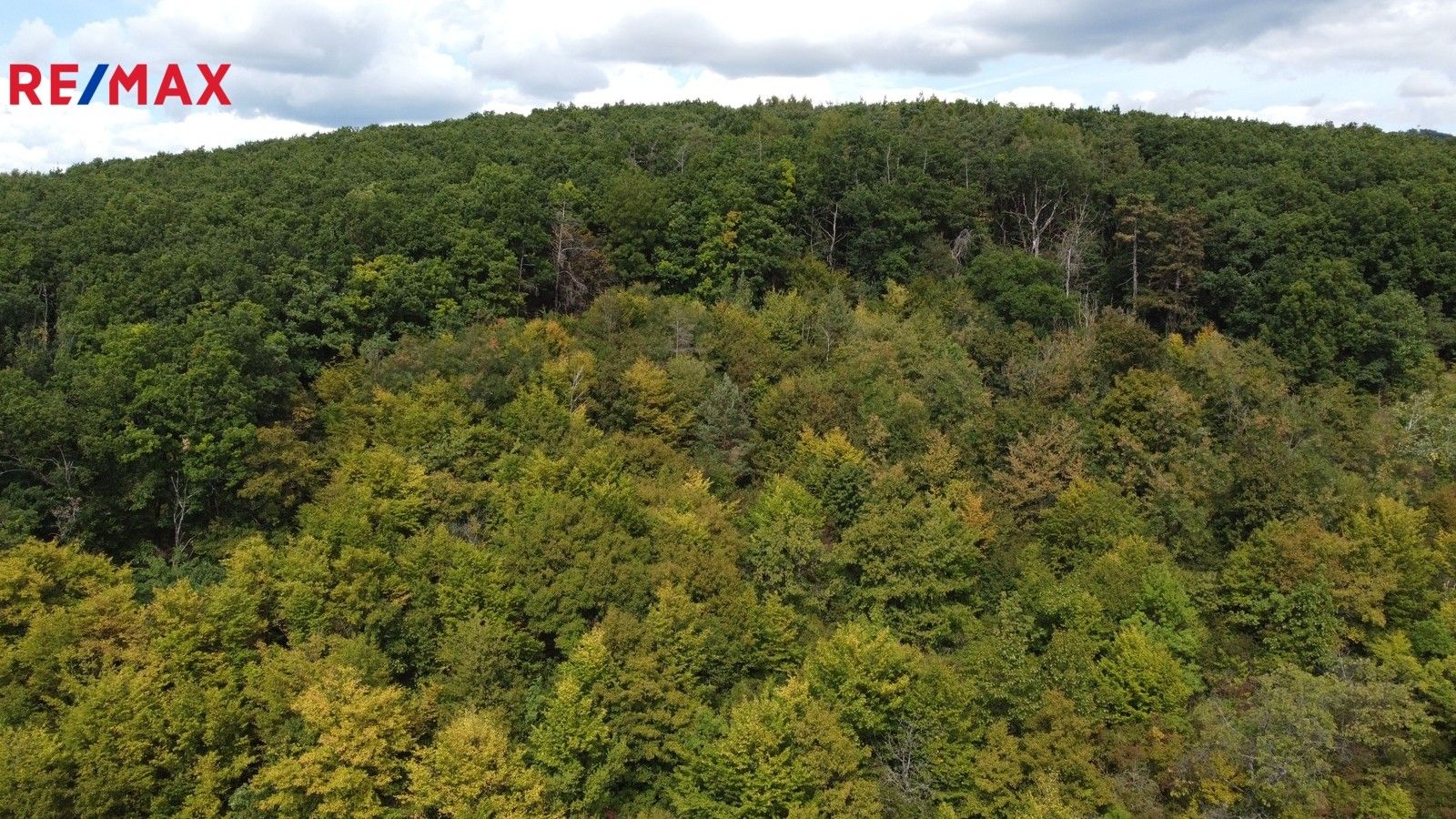 Prodej les - Lelekovice, 22 m²