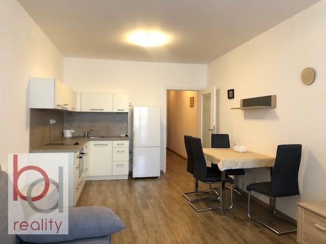 1+kk, Krčínova, České Budějovice 2, 38 m² - 1
