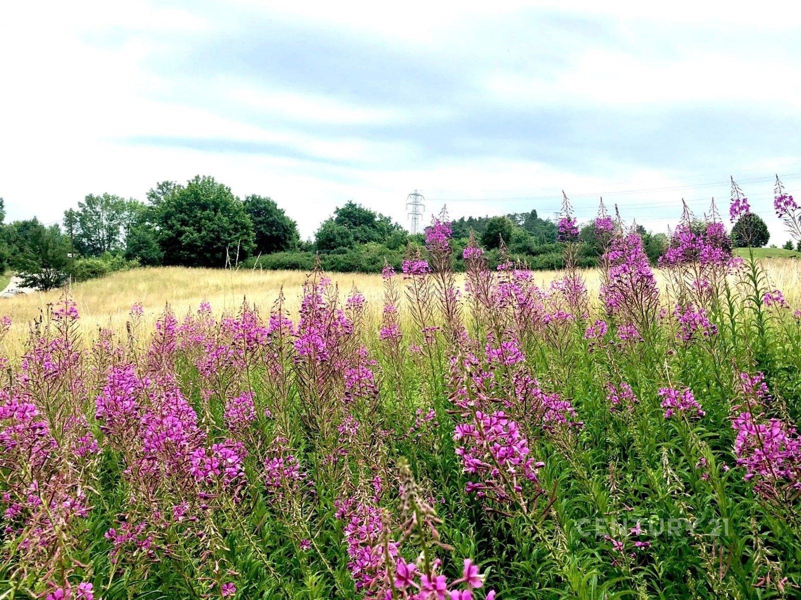 Prodej pozemek pro bydlení - Slapy