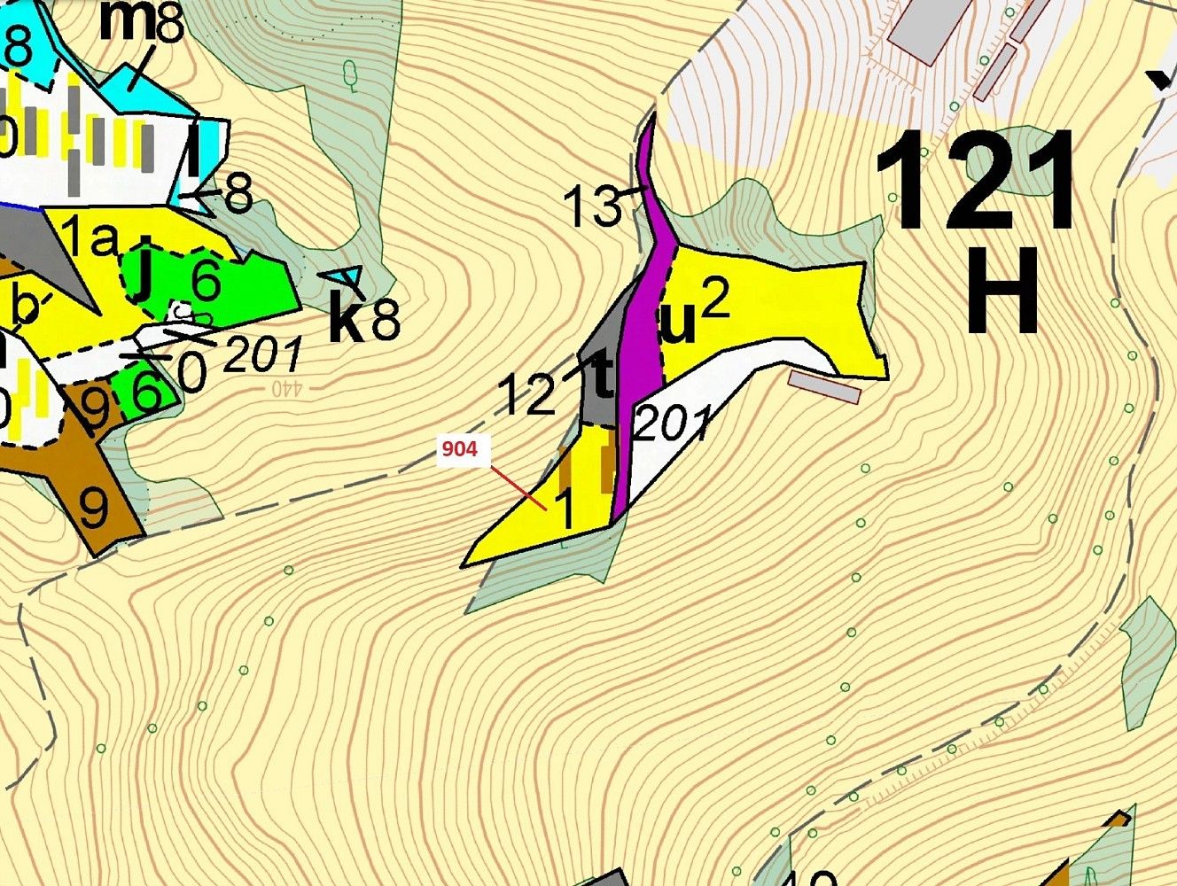 Les · Bystrá nad Jizerou, okres Semily, Liberecký kraj - 3