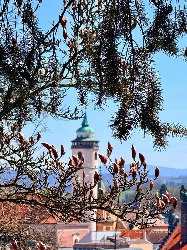 Rodinný dům · 450 m² · Mánesova, Domažlice - Týnské Předměstí - 3