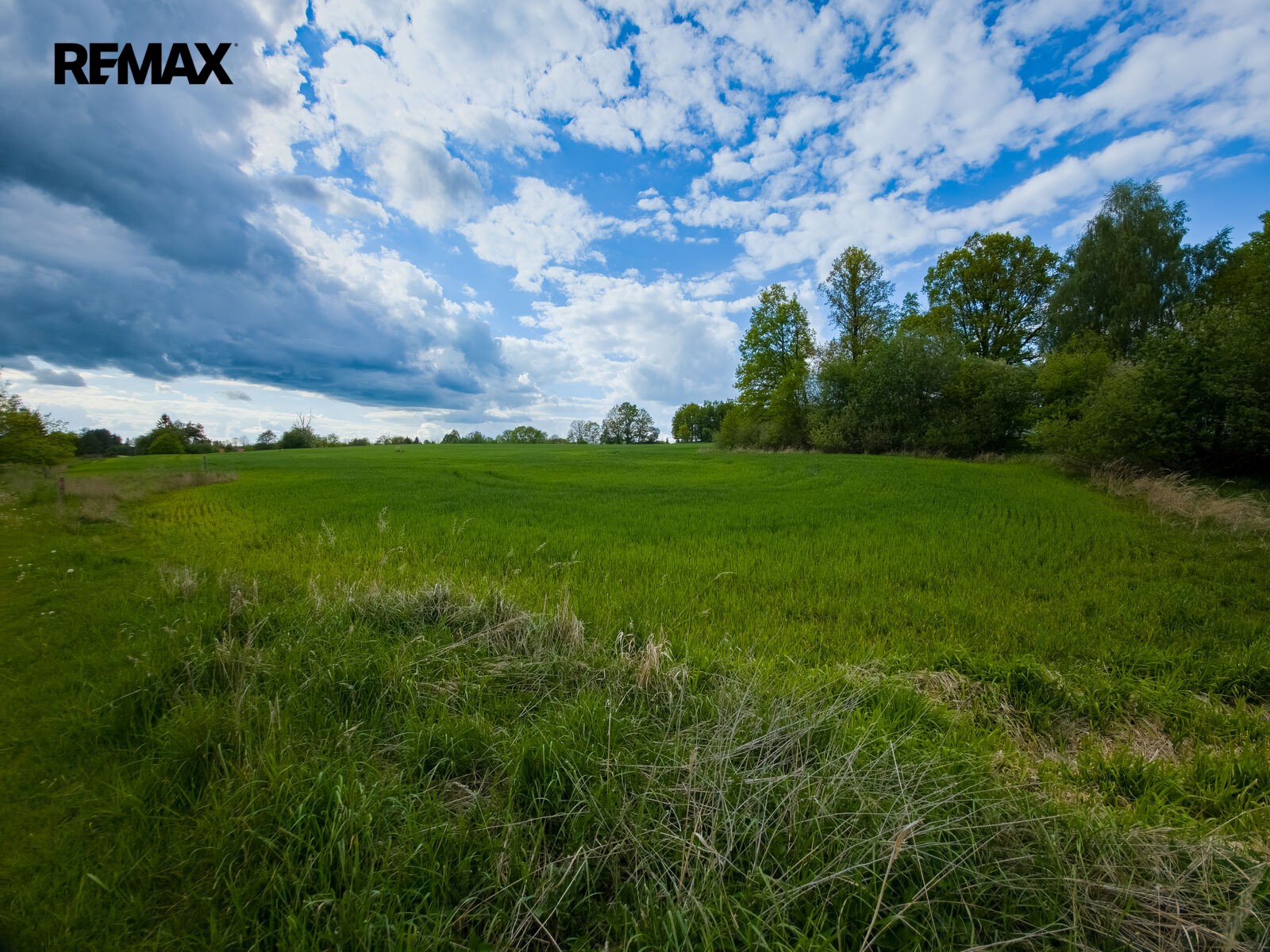 Prodej pozemek pro bydlení - Jindřichův Hradec, 10 262 m² - 5