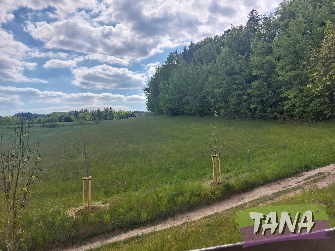 Prodej rodinný dům - Sychrov - Radostín, okres Liberec, 120 m² - 5