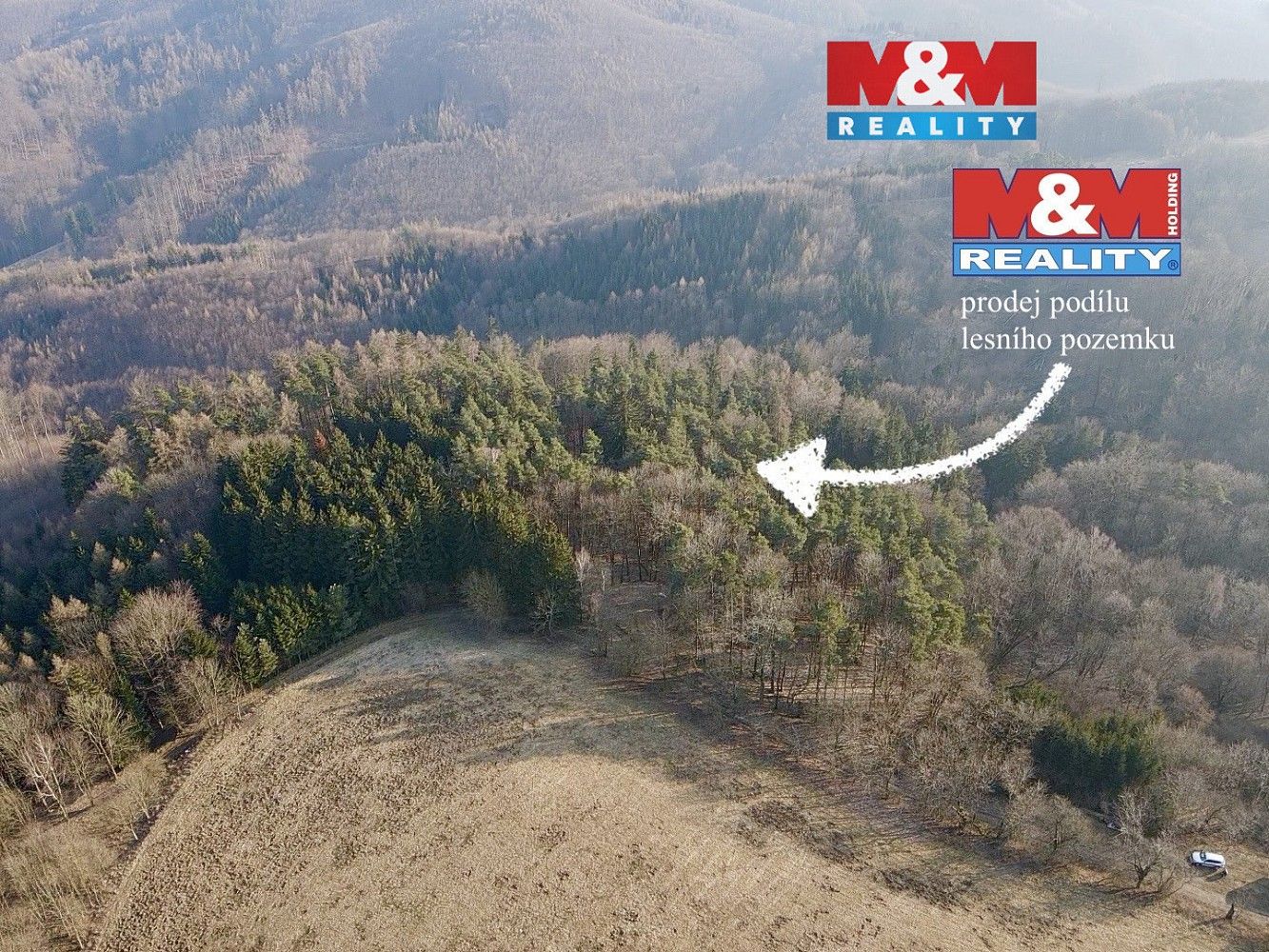 Les, 81 768 m²