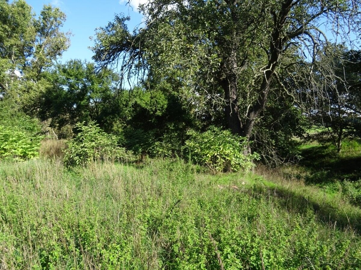 Pozemky pro bydlení, Žatec, 438 01