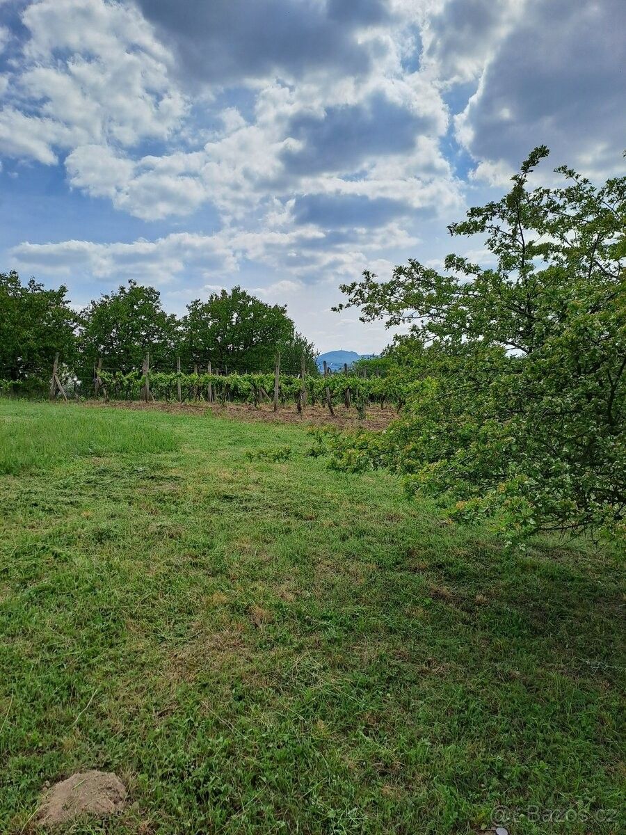 Pozemek pro bydlení · Hustopeče u Brna, 693 01 - 4