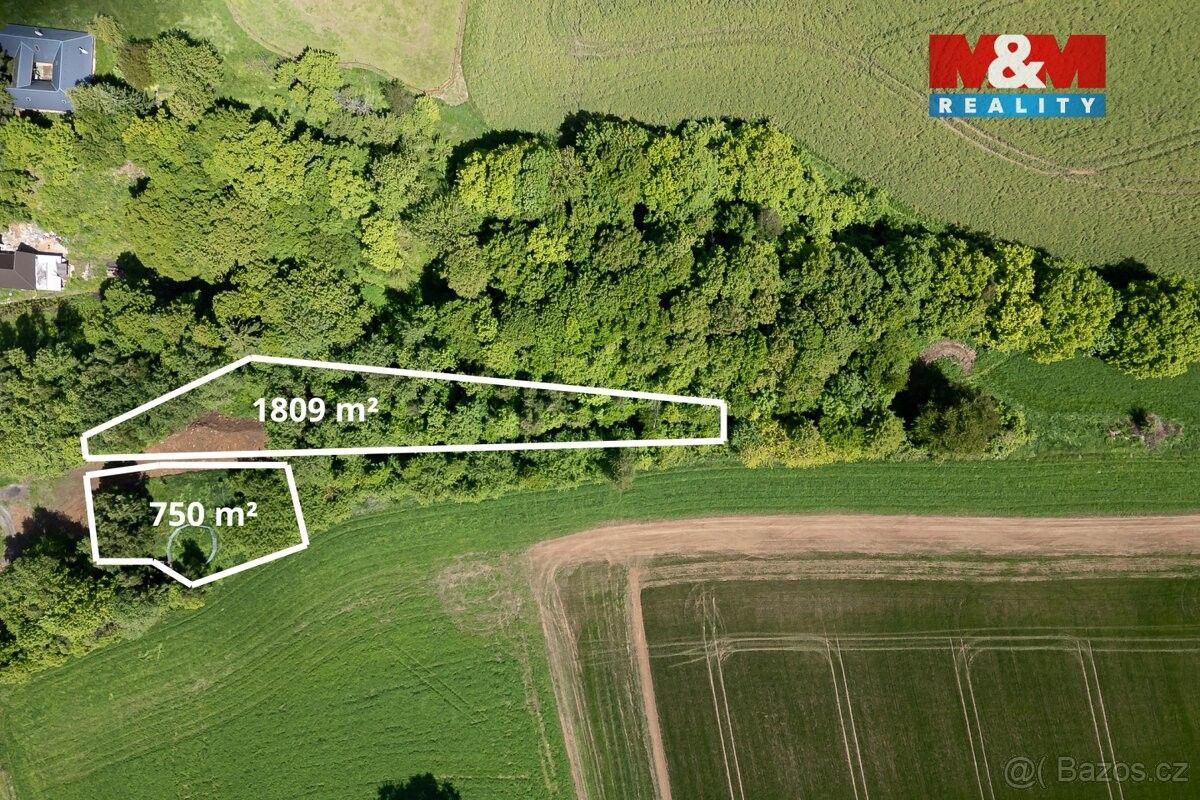 Prodej pozemek pro bydlení - Třebařov, 569 33
