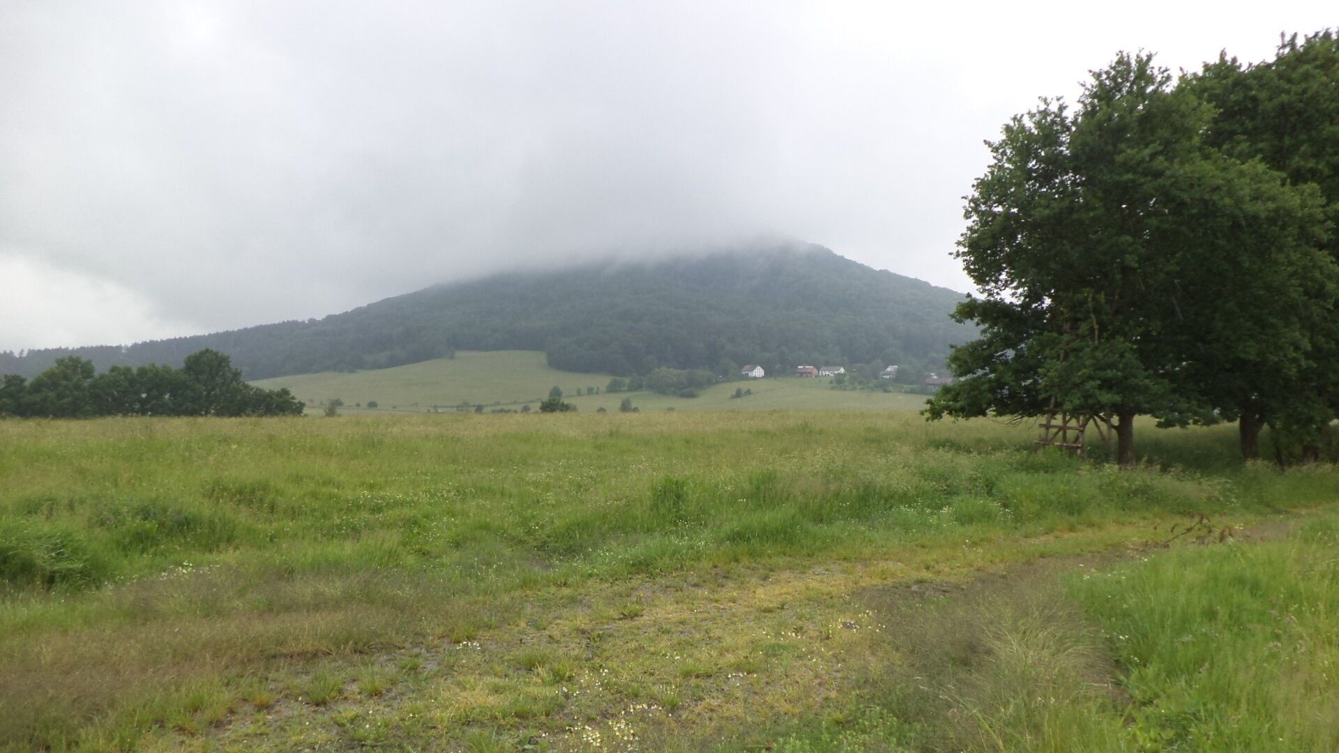 Zemědělské pozemky, Jablonné v Podještědí, 4 685 m² - 1