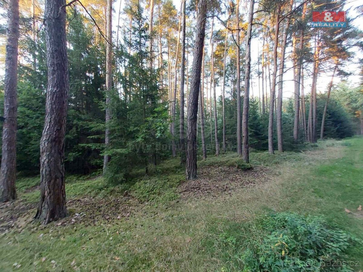 Prodej les - Holýšov, 345 62, 59 400 m²