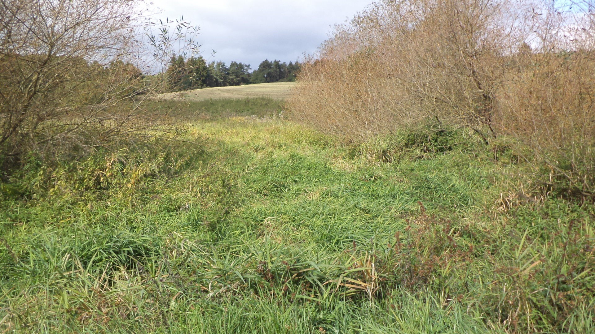Zemědělský pozemek · 925 m² · Tachov - 3