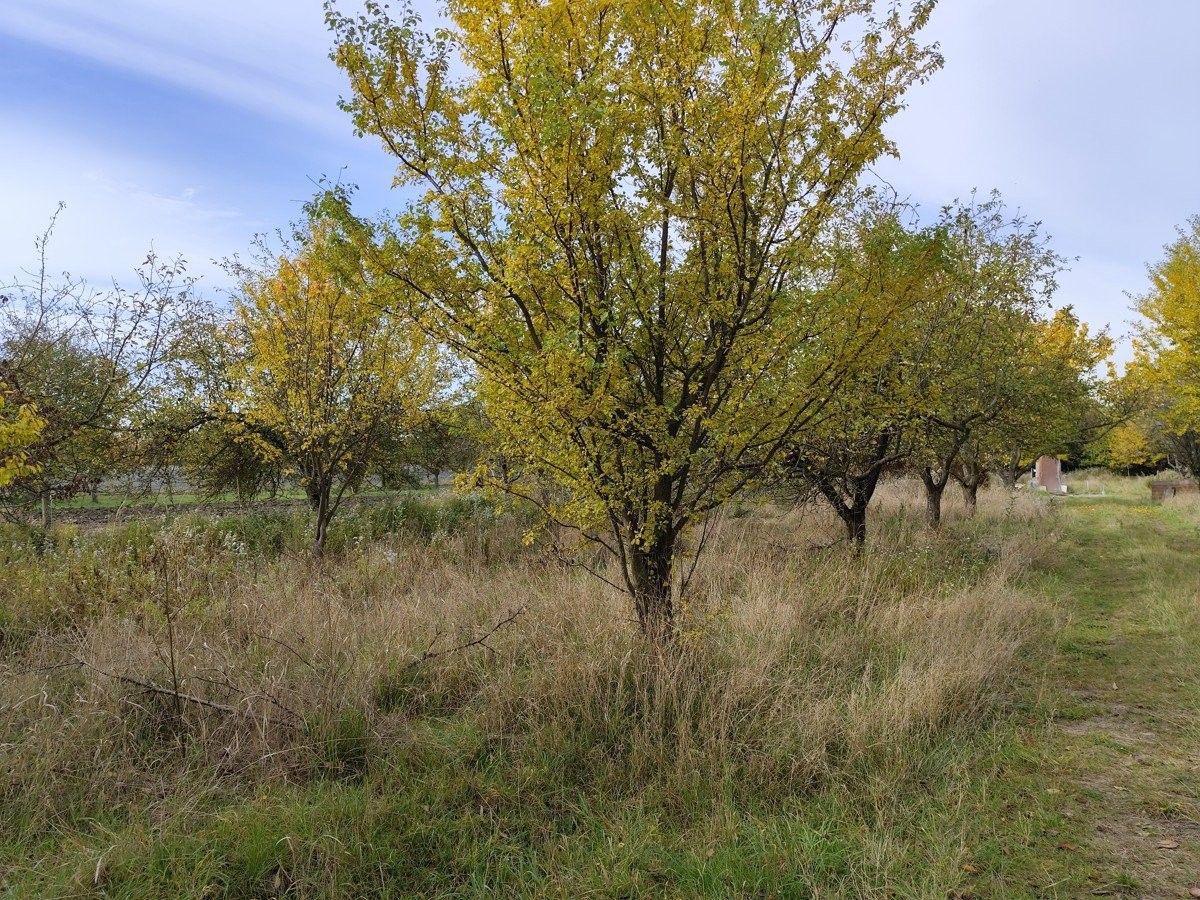 Prodej pozemek pro bydlení - Újezd u Brna