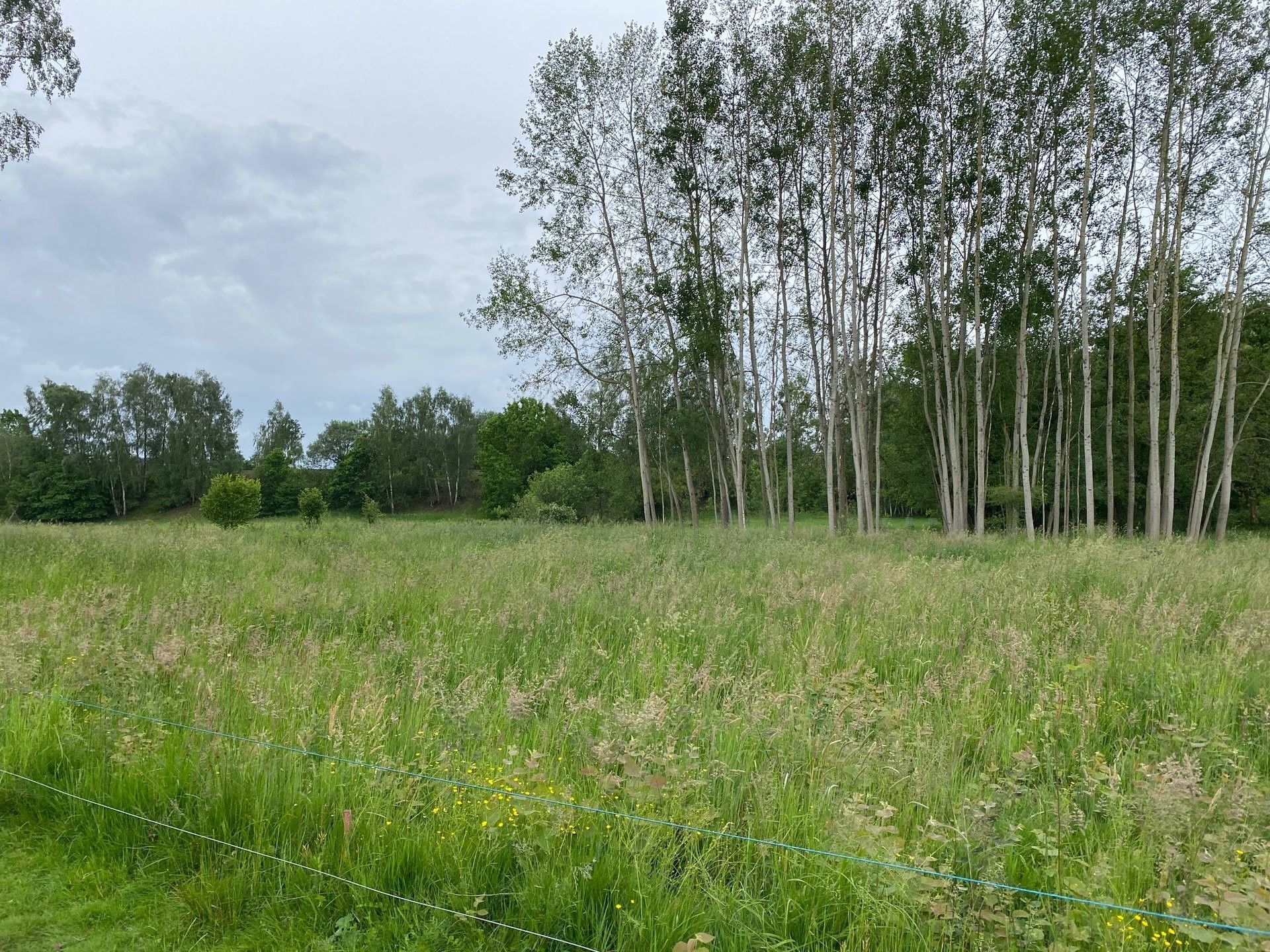 Prodej pozemek pro bydlení - Táborská, Varnsdorf