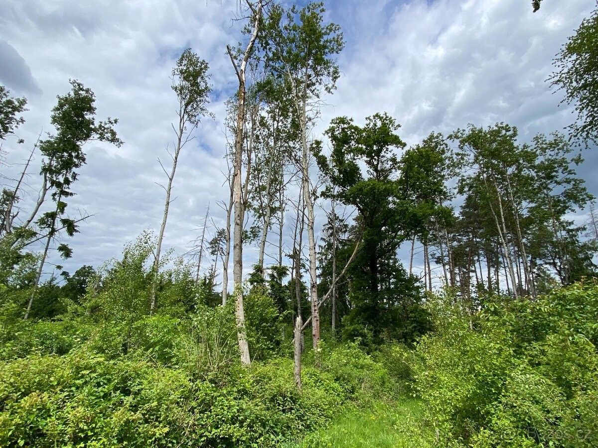 Pozemky pro bydlení, Horšovský Týn, 346 01