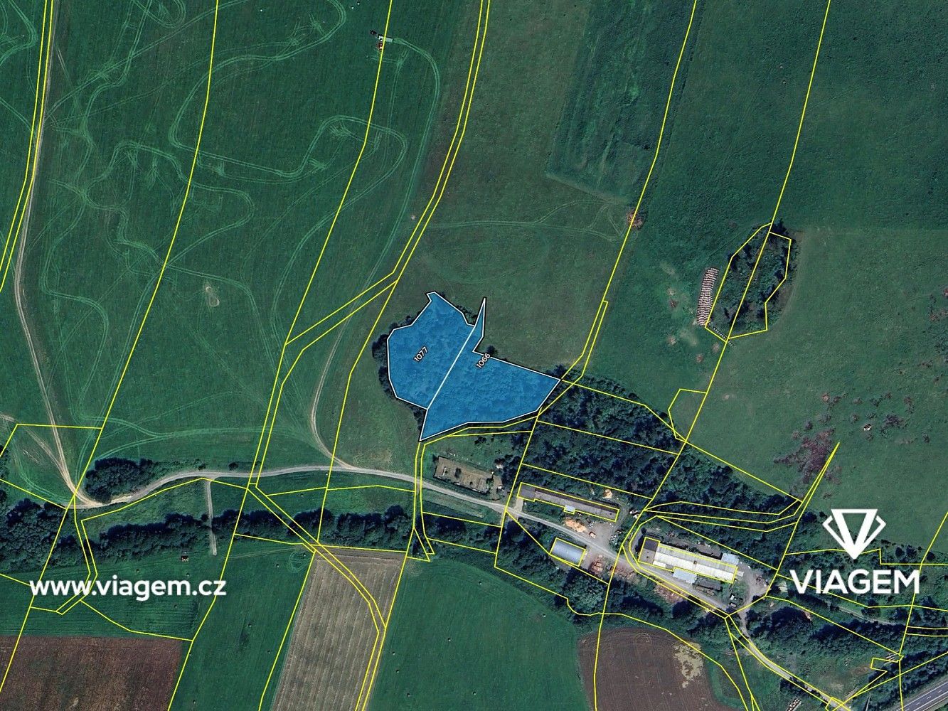 Les · Oborná, okres Bruntál, Moravskoslezský kraj - 4