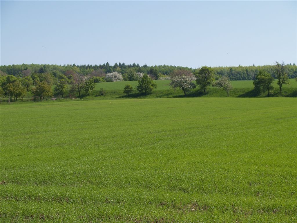 Obchodní prostory · 9 800 m² · Přestavlky, Přestavlky - Přestavlky u Přerova, Olomoucký kraj - 4