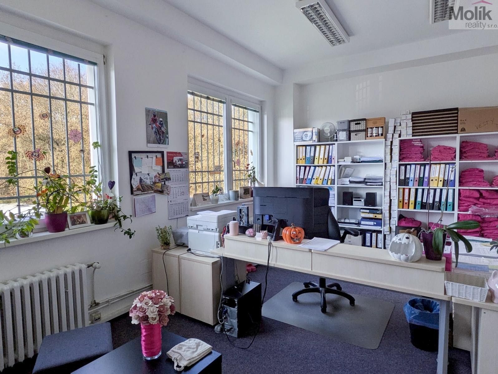 Pronájem kancelář - Novosedlická, Teplice, 36 m²