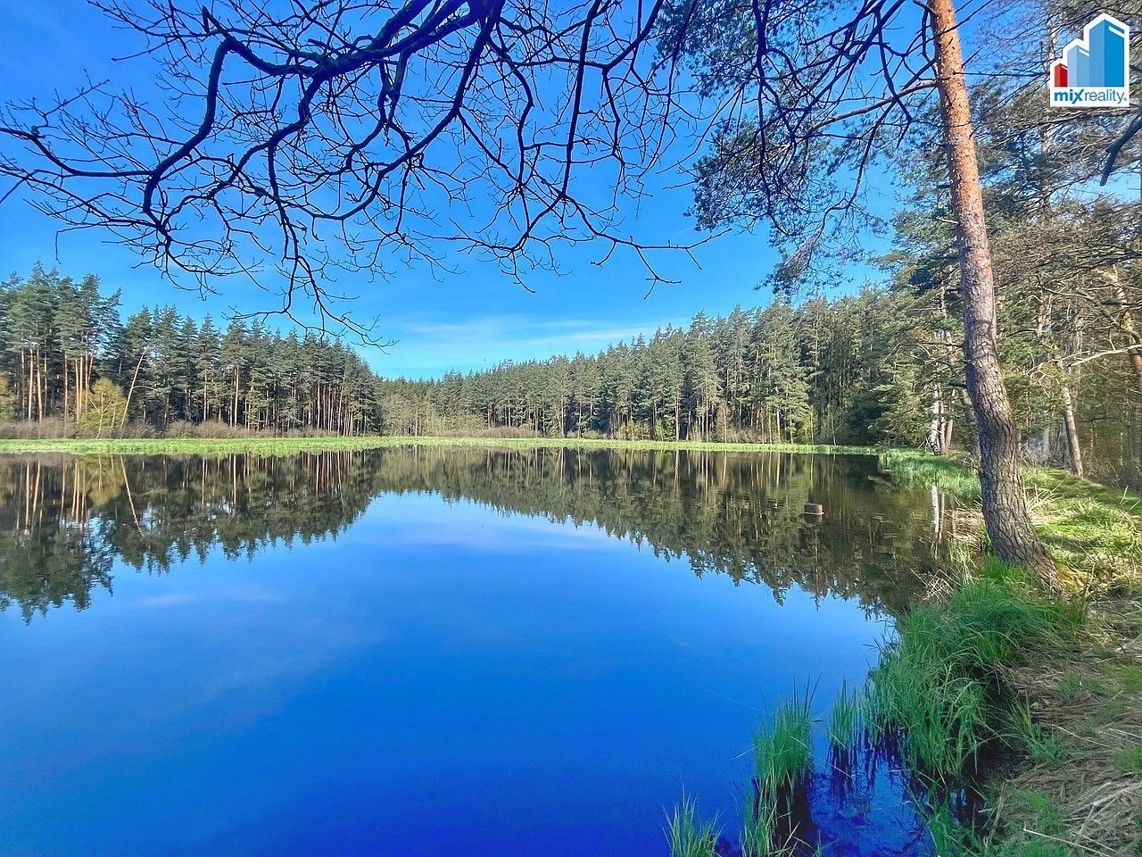 Rybník · Trstěnice, okres Cheb, Karlovarský kraj - 3