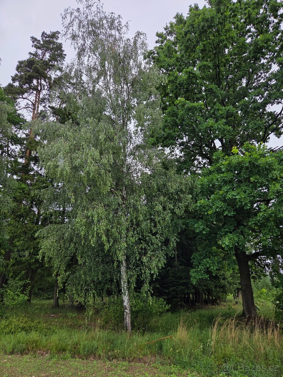 Prodej pozemek pro bydlení - Soběslav, 392 01 - 5