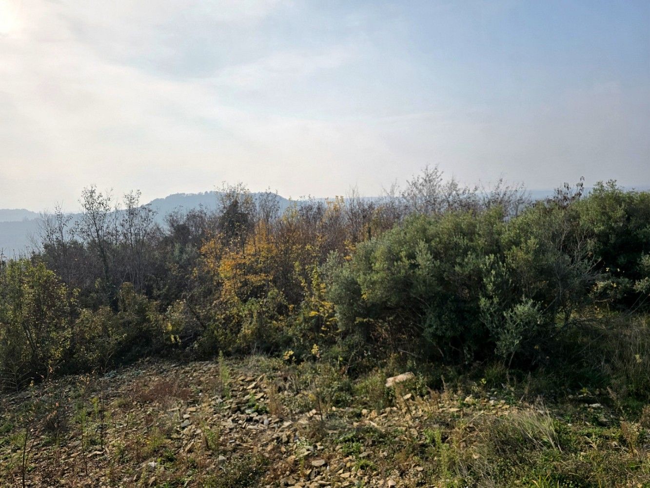 Pozemek pro bydlení, 719 m²