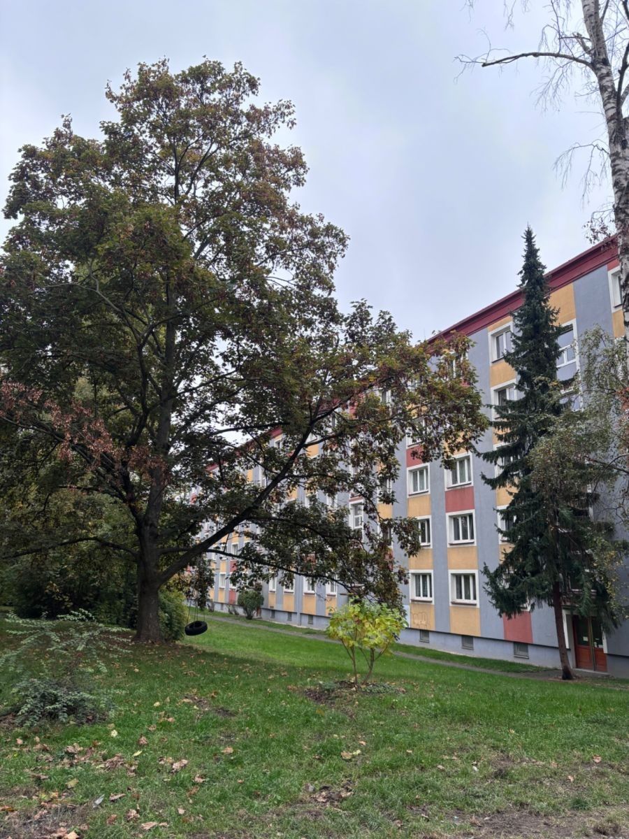 2+1, Skřivanská, Praha - Malešice, 52 m² - 1
