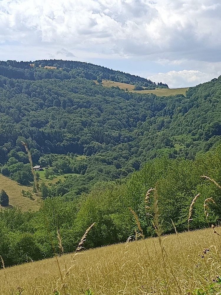 Pozemek · Lopeník, okres Uherské Hradiště, Zlínský kraj - 3