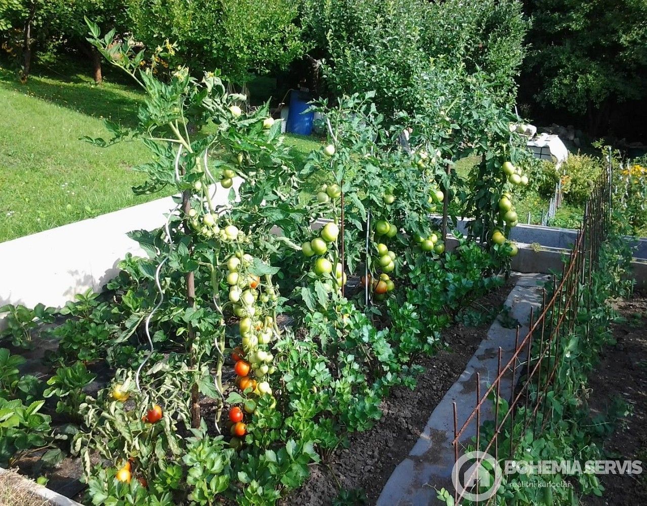 Chalupa · 25 m² · Písek - Budějovické Předměstí - 3