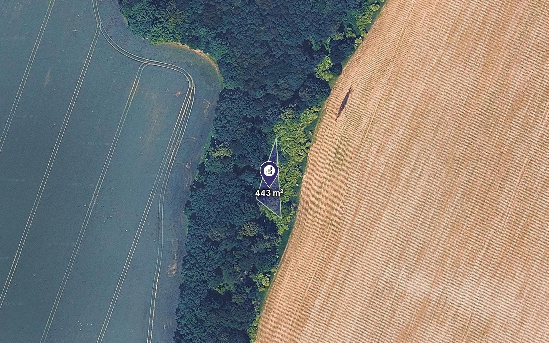 Lesy, Jeseník nad Odrou, 2 547 m² - 2