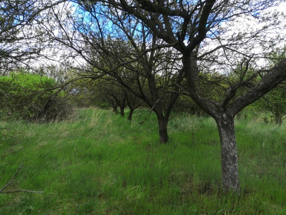 Ostatní, Hustopeče, 22 292 m²