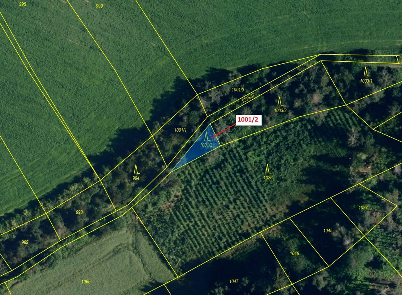 Lesy, Borovník, okres Brno-venkov, Jihomoravský kraj - 2