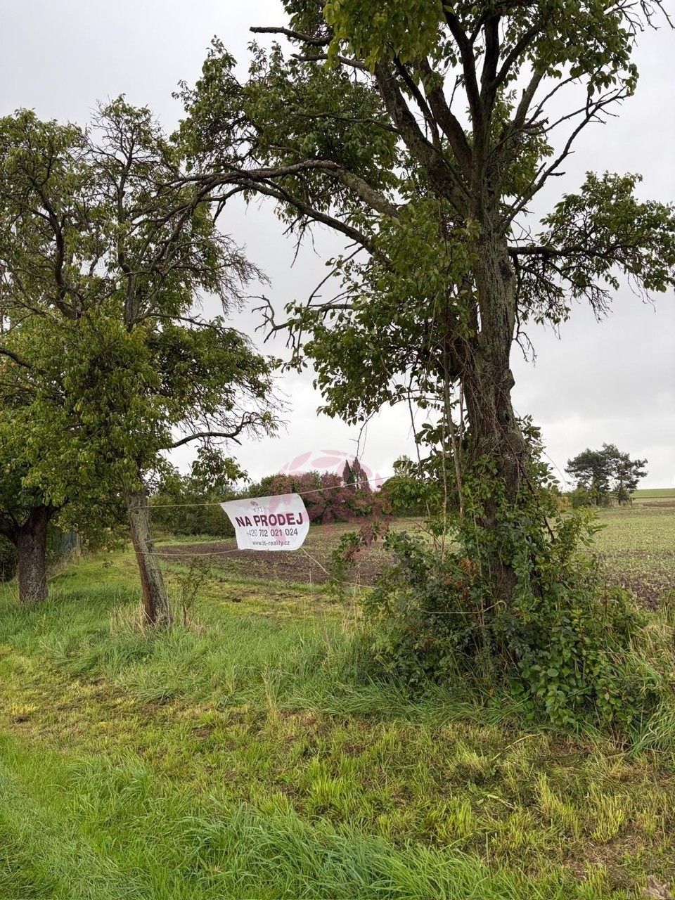 Pozemky pro bydlení, Klenice, Stračov, 8 252 m² - 1