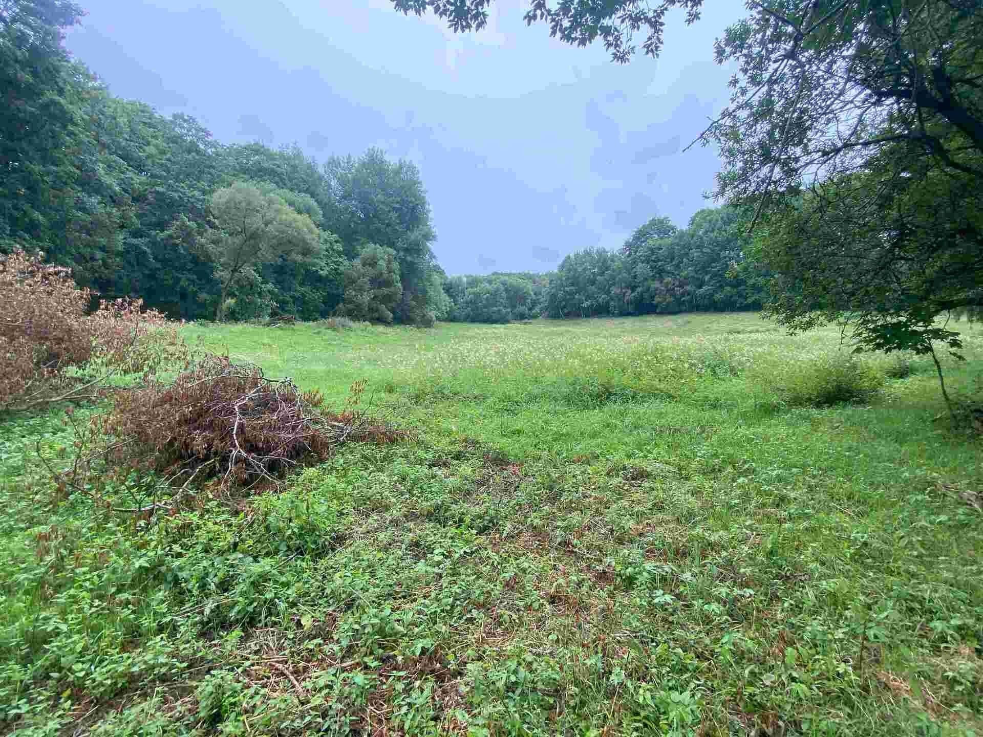 Zemědělský pozemek · 11 289 m² · Úterý Vidžín - 3
