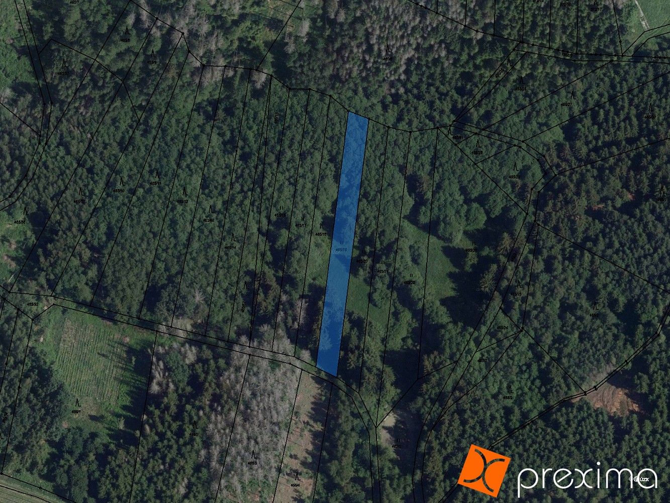 Prodej les - Radkovice u Budče, okres Třebíč, Kraj Vysočina - 5