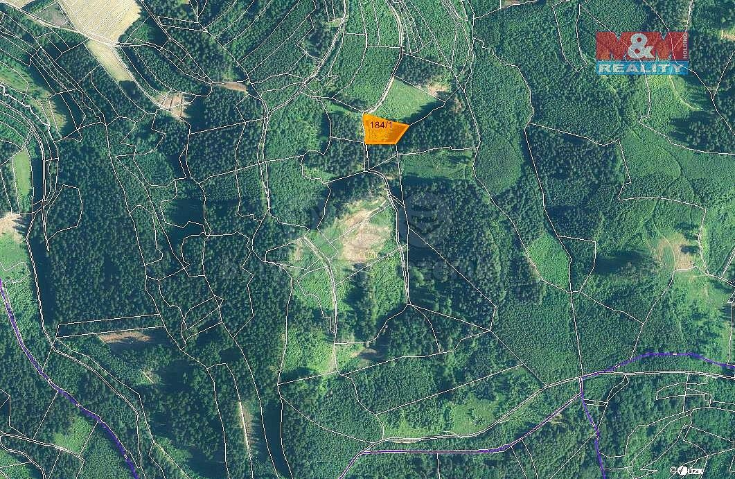 Les · Lhota u Vsetína, okres Vsetín, Zlínský kraj - 3