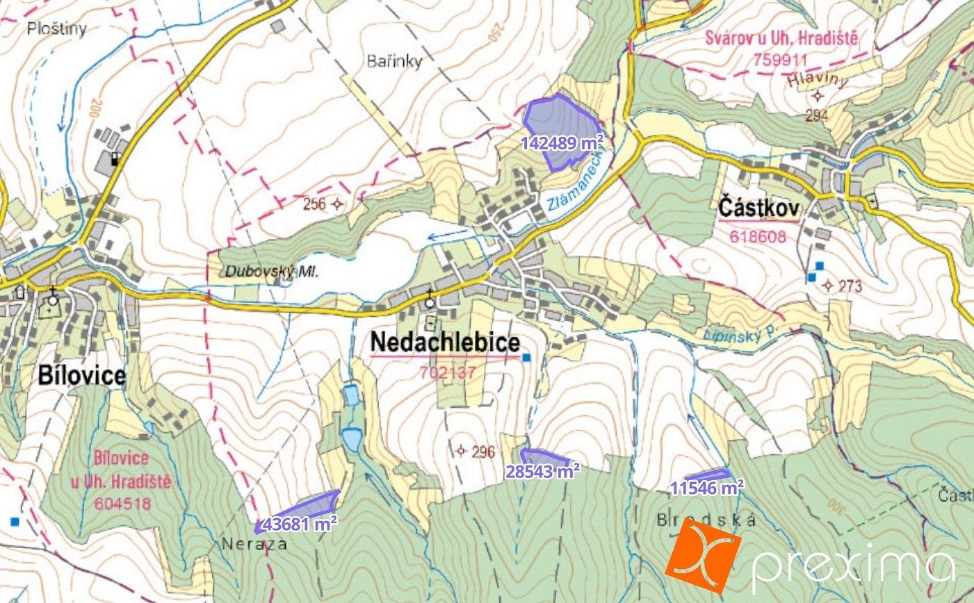 Les · Nedachlebice, okres Uherské Hradiště, Zlínský kraj - 3