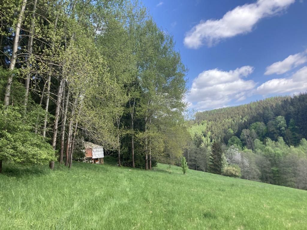 Prodej louka - Prostřední, Staré Buky