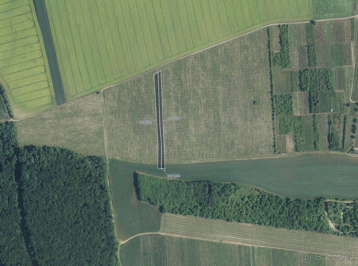 Pozemky pro bydlení, Brumovice na Moravě, 691 11