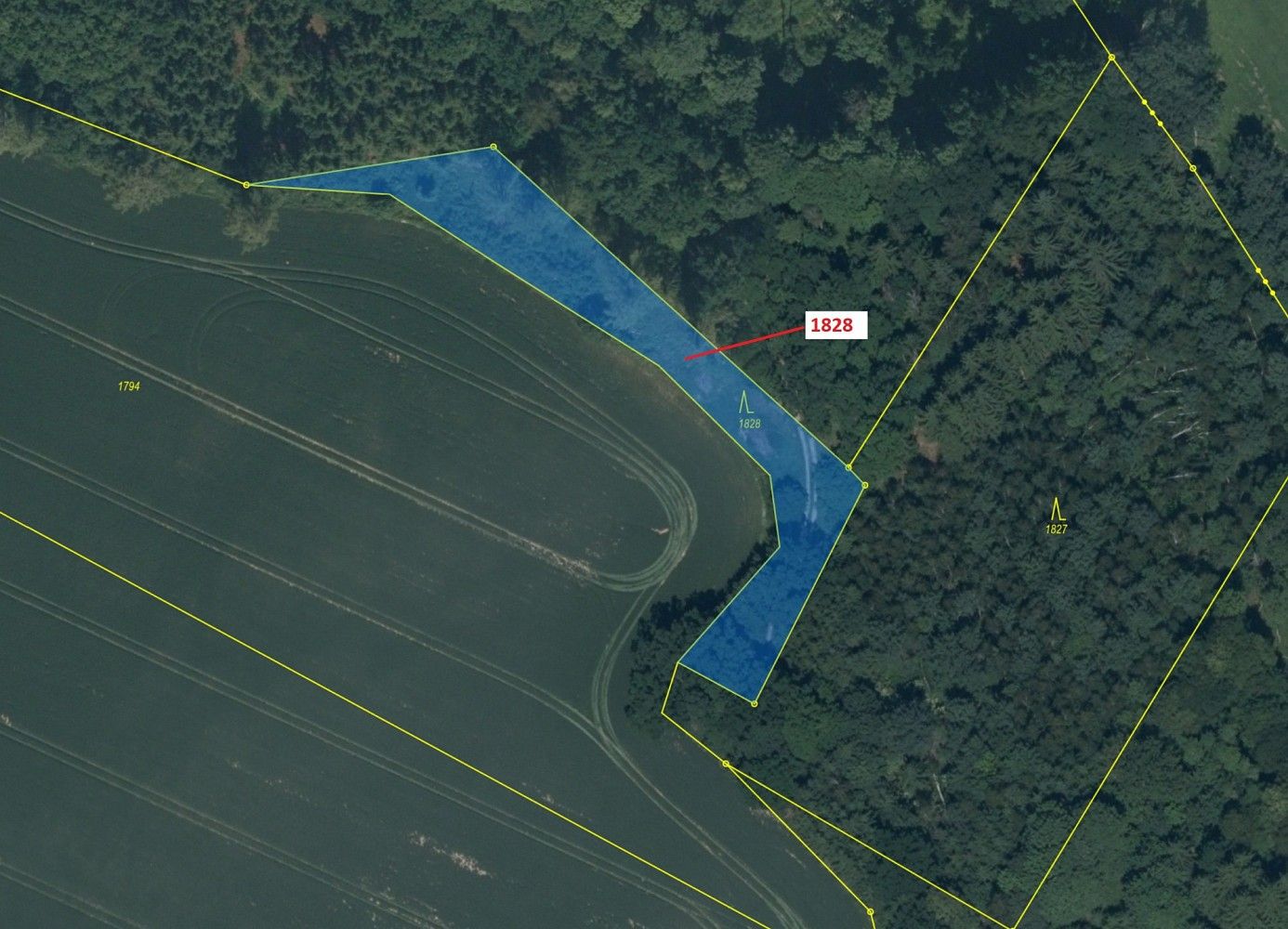Prodej les - Chotýšany, okres Benešov, Středočeský kraj - 2