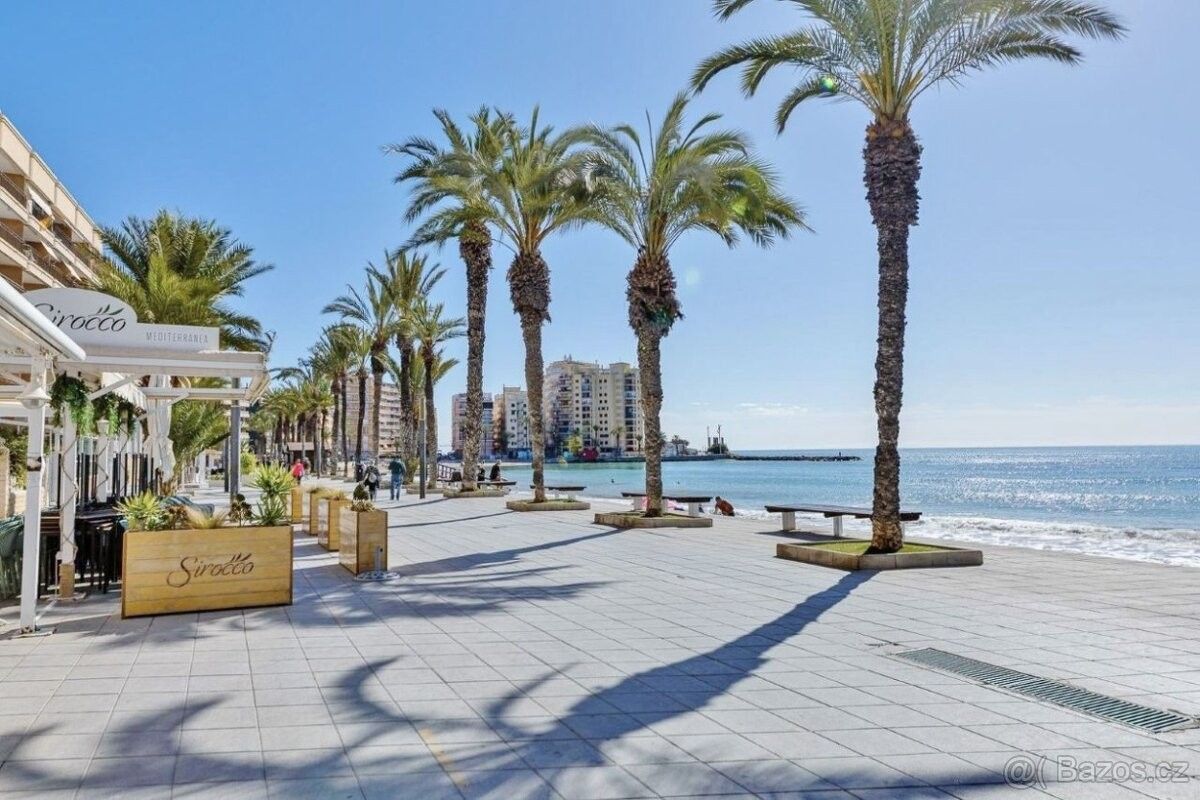 Byty, 987 66, Zahraničí