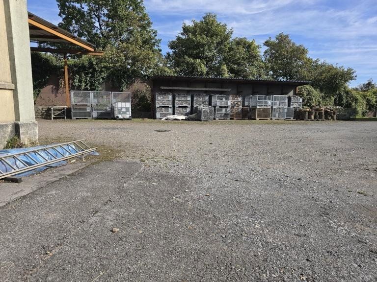 Obchodní prostory, Remscheid Nordrhein-Westfalen 42899, 600 m² - 2