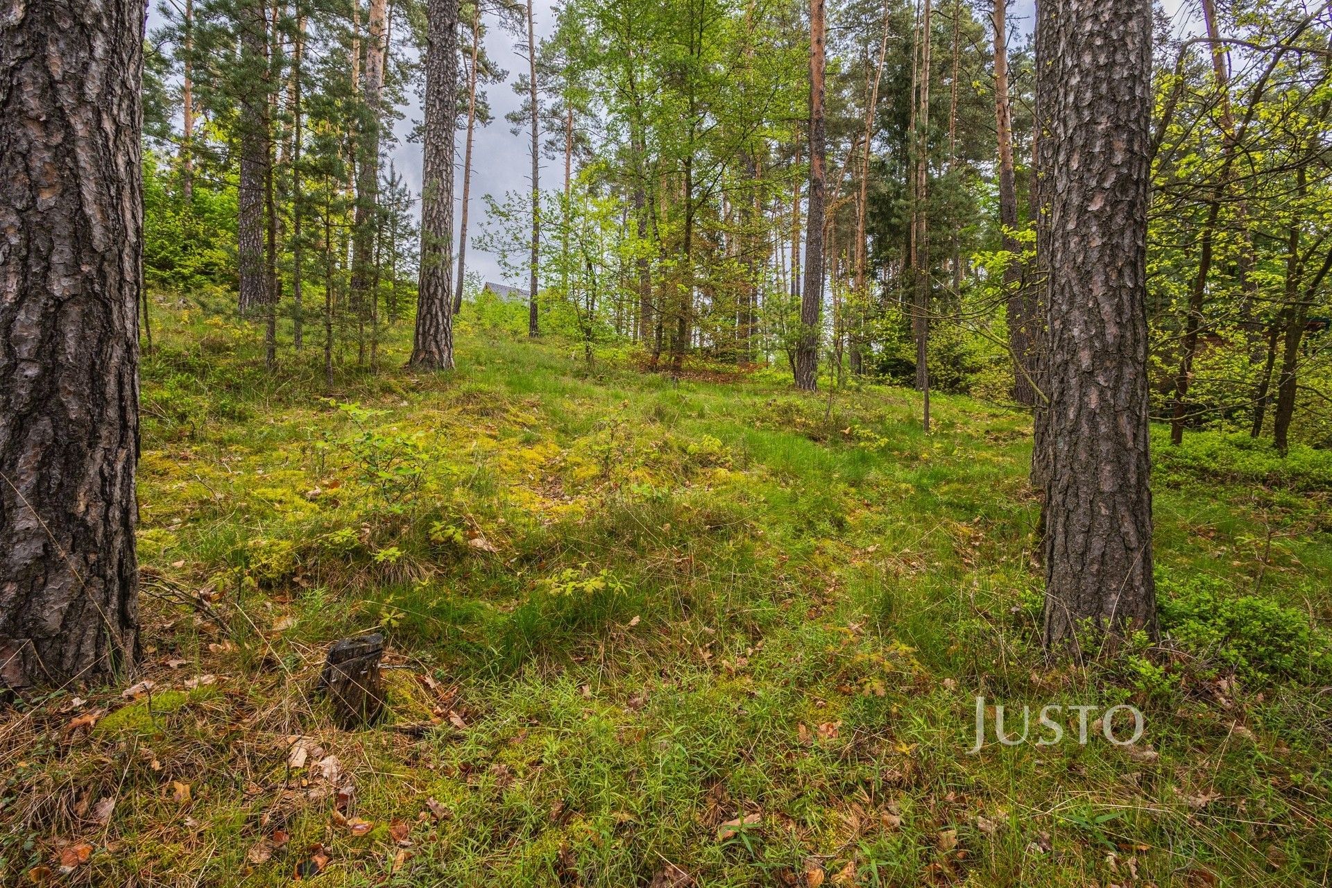 Pozemek pro bydlení · 1 647 m² · Děvínská  , Hamr na Jezeře - 3