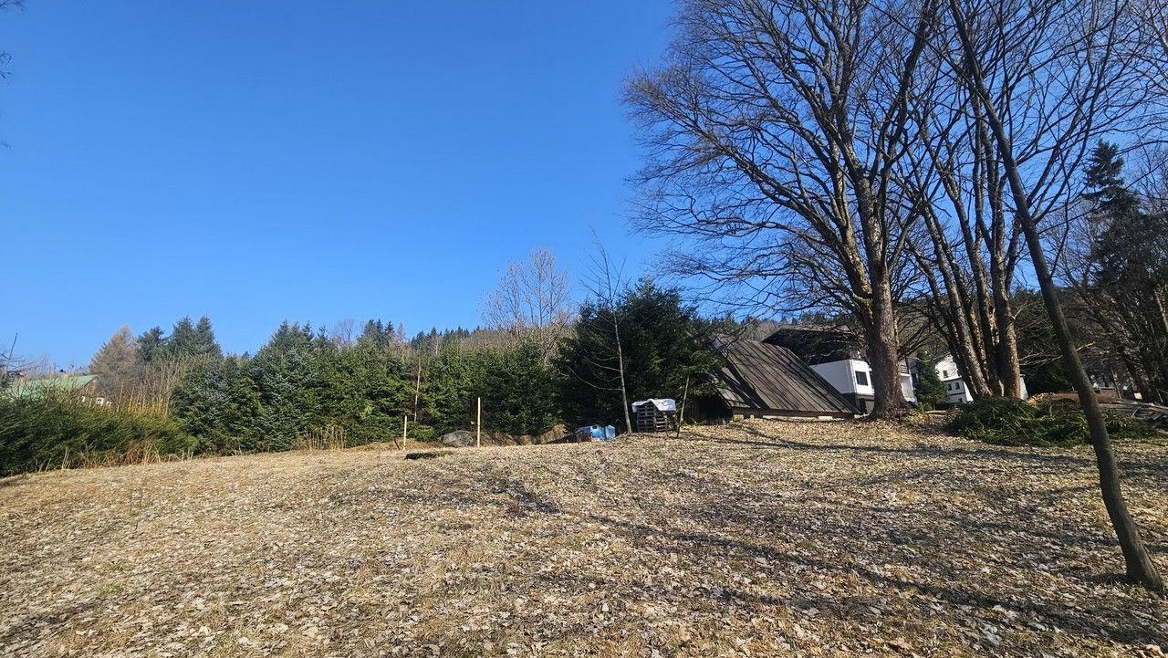 Pozemek pro bydlení · 11 396 m² · Janov nad Nisou - 2