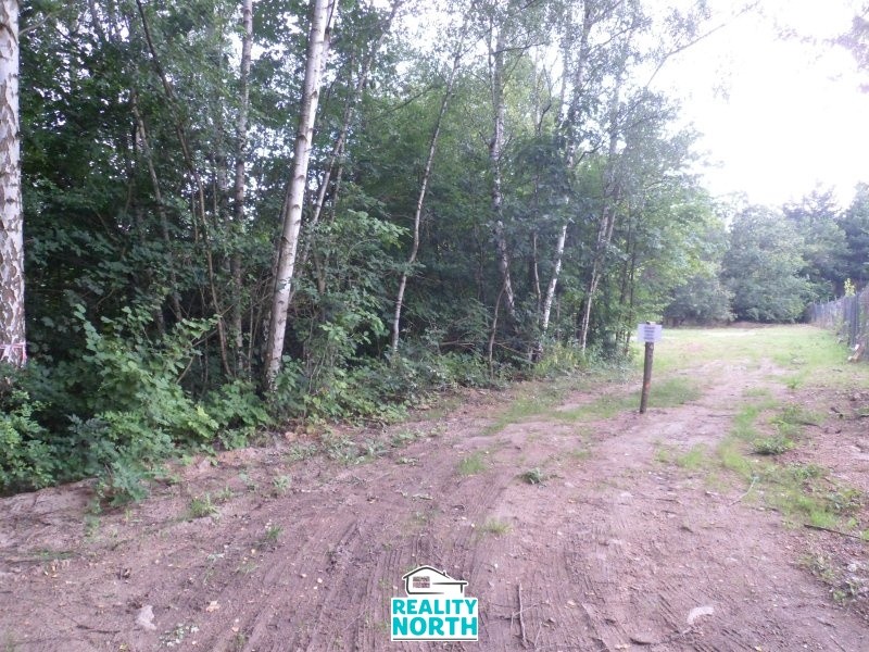 Pozemek pro bydlení · 6 184 m² · Drahůnky, Dubí - 4