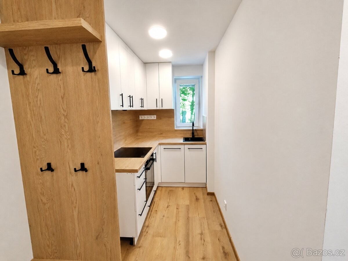 Byt 2+1 · 40 m² · Ostrava, 700 30 - 3