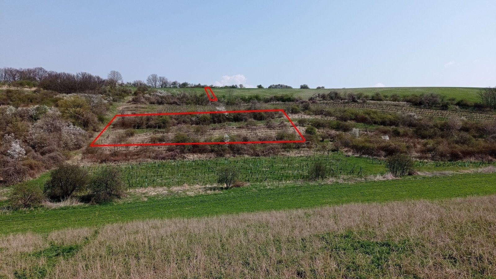 Pozemek · 6 023 m² · Vrchní 1, Velké Němčice - 3