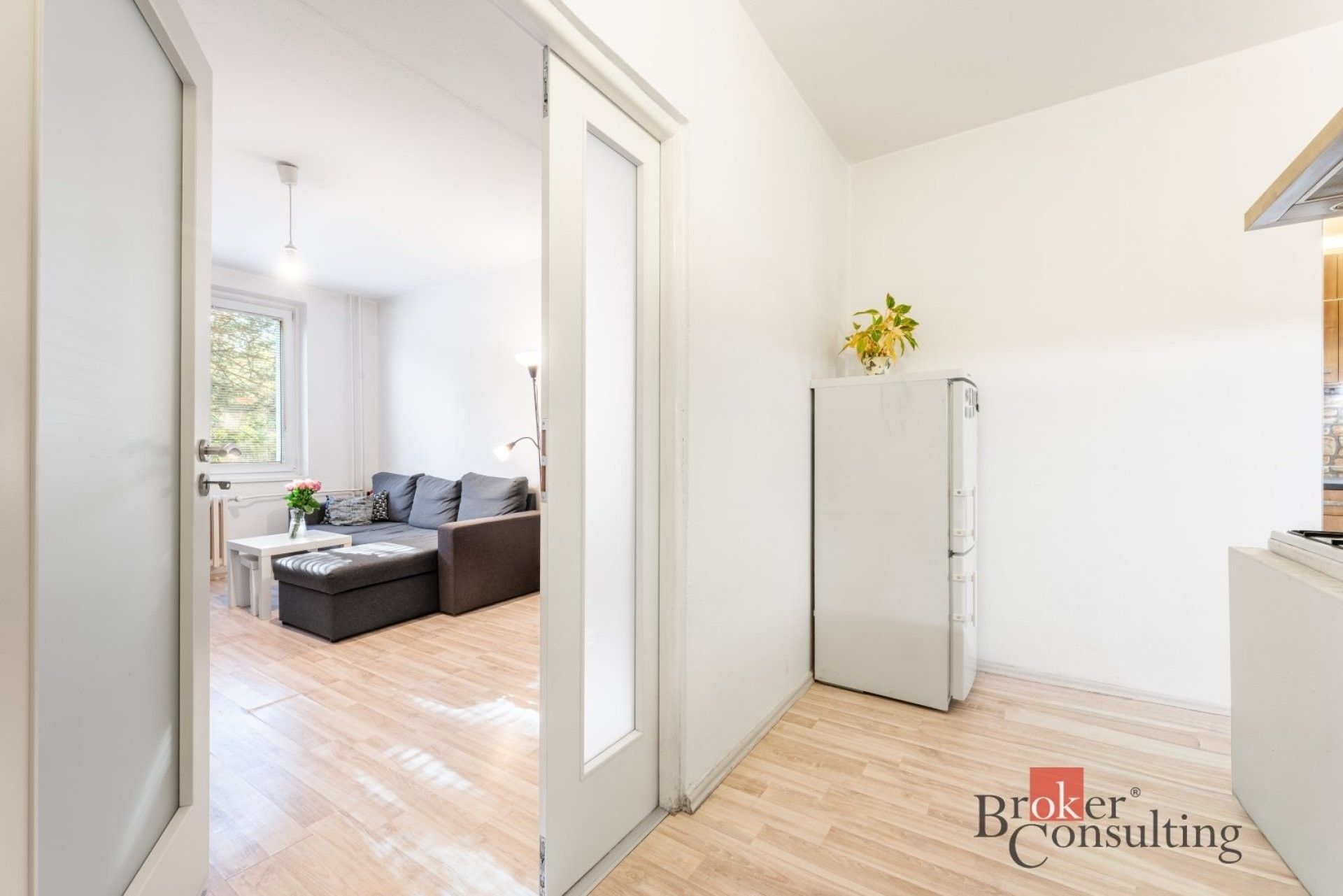 2+kk, Laštůvkova, Brno, 39 m² - 1